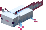 Cyan Axolotl.gif: Infobox image for Pet Axolotl the entity in Minecraft