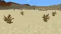 Dead Bush in desert.