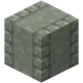 Dead fire coral block