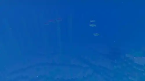 Deep Ocean Vibrant Visuals.png: Infobox image for Ocean biomes the biome in Minecraft