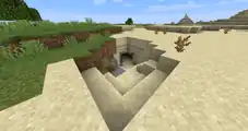 In the desert, players have to be careful about mining in the ceiling, as this can cause a cave-in and easily kill the player.
