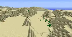 A desert biome before The Update that Changed the World.