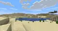 Desert biome.