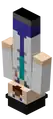 Dinnerbone's skin.