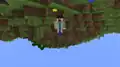 Dinnerbone right side up (and the world upside down)