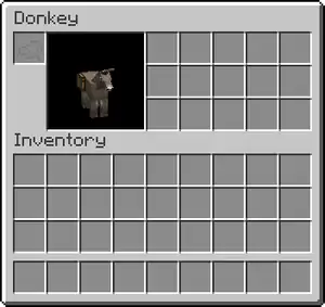 Donkey (wearing chest) Mule (wearing chest)