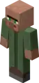 The nitwit villager skin