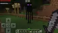 Staredown with an enderman.