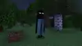 Enderman in a pair of pants