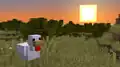 A chicken enjoying the sunset.