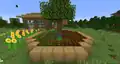 A tree with a bee nest in the center of a player-made garden of crops.