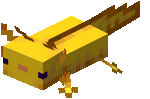 Gold Axolotl.gif: Infobox image for Pet Axolotl the entity in Minecraft