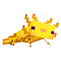Golden axolotl cosmetic item icon.