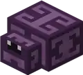Endermite