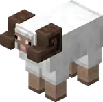 Horned Sheep.png: Infobox image for Horned Sheep the entity in Minecraft