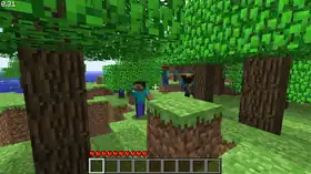 Indev 0.31 20100131-2244.png: Infobox image for 0.31 the version in Minecraft