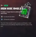 An iron hide amulet within the inventory.