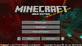 Java Edition 1.16.4 Pre-release 2.png: Infobox image for Minecraft 1.16.4 Pre-release 2 the version in Minecraft