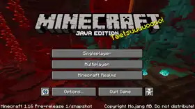 Java Edition 1.16 Pre-release 1.png: Infobox image for Minecraft 1.16 Pre-release 1 the version in Minecraft