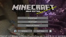 Java Edition 1.17 Release Candidate 1.png: Infobox image for Minecraft 1.17 Release Candidate 1 the version in Minecraft