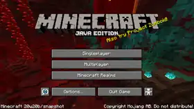 Java Edition 20w20b.png: Infobox image for Minecraft 20w20b the version in Minecraft