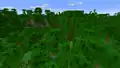 A jungle hills single biome world.