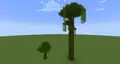 Large and small jungle trees.