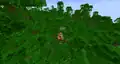 Ruined portal generated in jungle biome. Notice the starting forest fire.