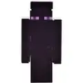 Enderman from "The End".