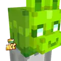 Lime Llamas Head