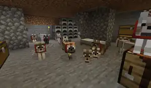 Many tamed wolves sitting