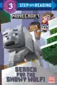 Cover for Search for the Snowy Wolf!