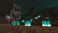 A preview of two wither skeletons in the soul sand valley.