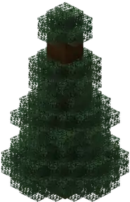 A mega spruce