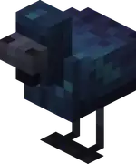 Midnight Chicken Blink.png: Infobox image for Midnight Chicken the entity in Minecraft
