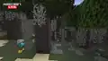In Minecraft Live 2024, the color of the pale oak leaves were affected by the biome color.