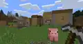 Village and pig