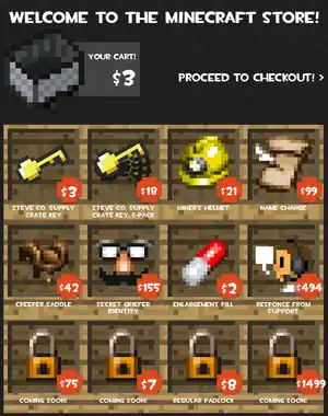 The "Minecraft Store"