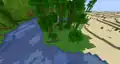 A jungle edge biome between a bamboo jungle and a desert before 1.18.