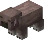 Mottled Pig Blink.png: Infobox image for Mottled Pig the entity in Minecraft