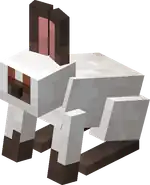 Muddy Foot Rabbit.png: Infobox image for Muddy Foot Rabbit the entity in Minecraft