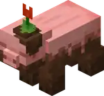Muddy Pig Blink.png: Infobox image for Muddy Pig the entity in Minecraft