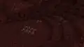Natural Nether quartz ore in the Nether.