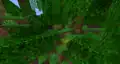 Naturally generated melons in a jungle biome.