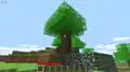 An oak tree that generated on top of an Indev House in Indev 0.31 20100201-2227.