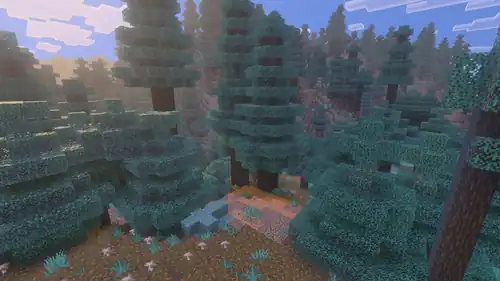 Old Growth Spruce Taiga Vibrant Visuals.png: Infobox image for Old Growth Spruce Taiga the biome in Minecraft