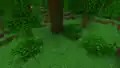 Jungle bushes as they appeared in Bedrock Edition before 1.21.60 (having jungle leaves).