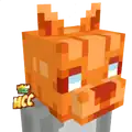 Orange Ocelots Head