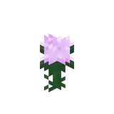 Paeonia.png: Infobox image for Paeonia the item in Minecraft