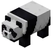 Panda (Dungeons).png: Infobox image for Panda the dungeons entity in Minecraft